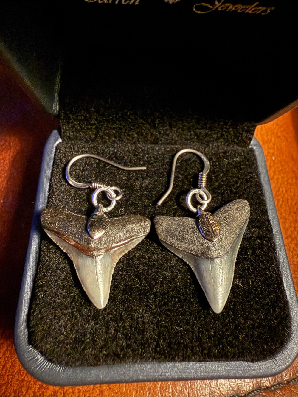 Gray Shark Tooth Drop Earrings, Sterling setting- Women Jewelry